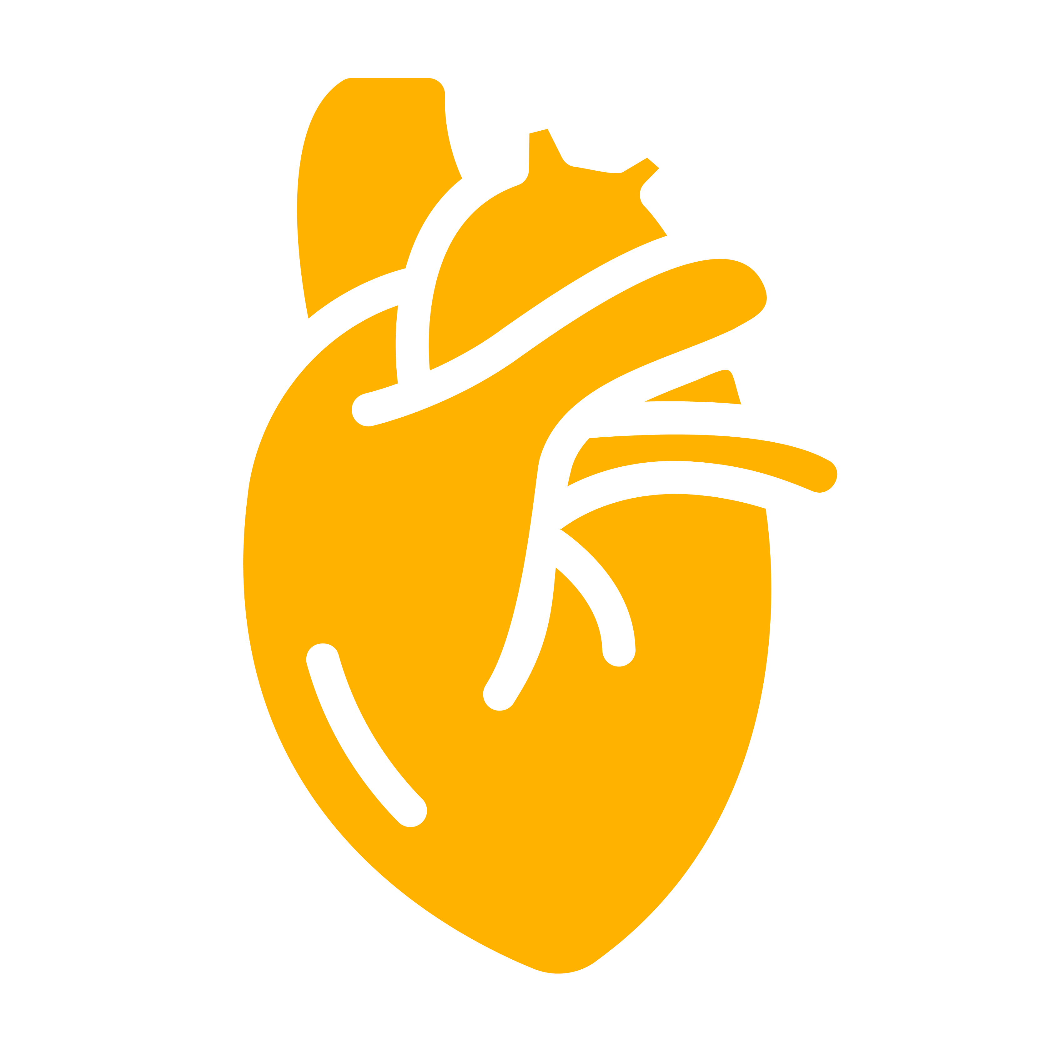 Cardiology