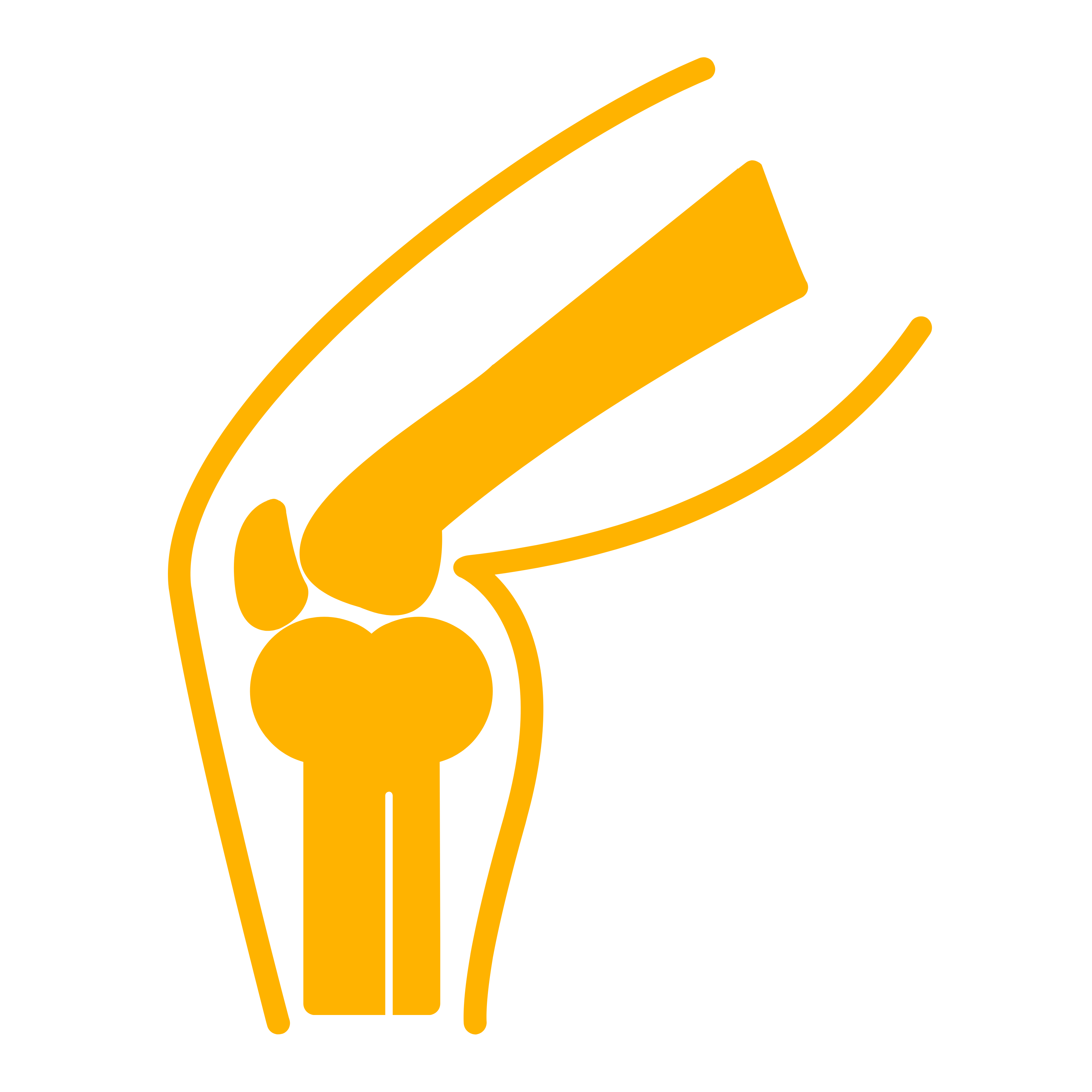 Orthopedics & Spine